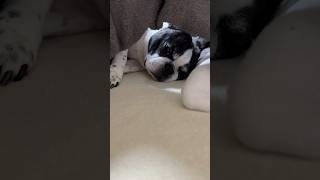 今季一番の寒さが襲来した時のフレブルの寒さ対策がこちら