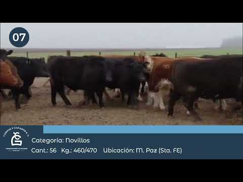 Lote NV HILTON - Máximo Paz Alcorta Sta Fe