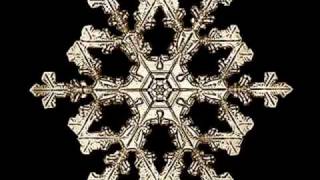 Velvet Acid Christ - Falling Snow