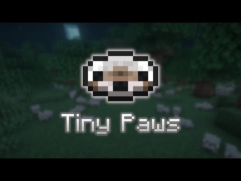 Tiny Paws - Fan Made Minecraft Music Disc