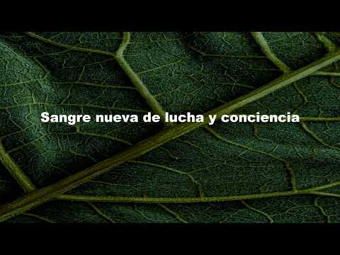 Qué Fácil - Carlos Rovira Bolaños
