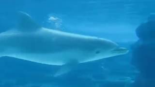 Ask The Mountains   Vangelis