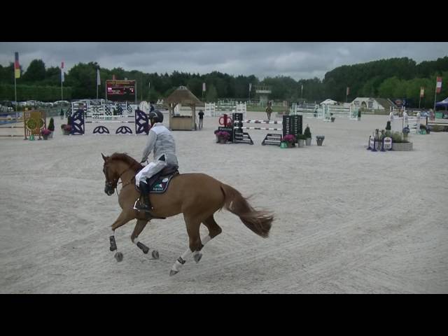 Related to: Joker van de Vlasbloemhoeve