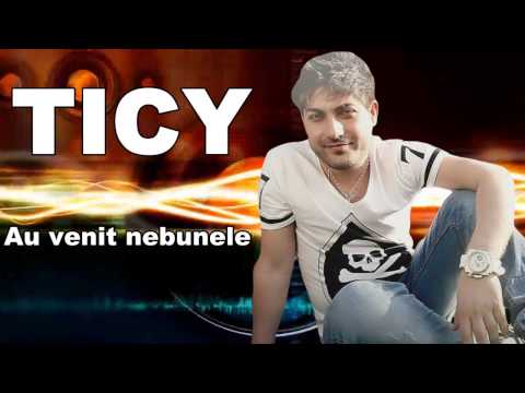 TICY,LIVIU PUSTIU si MR.JUVE - Au venit nebunele ( Official Track )
