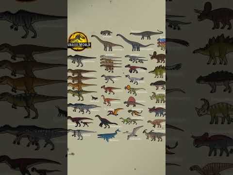 Types of Dinosaurs PT 6