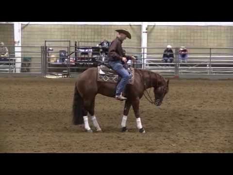 Sparkin Affairs and Sean Johnson Saturday Novice KRHA