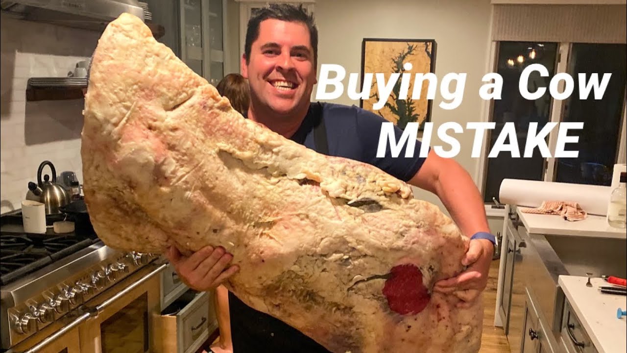 Biggest Mistake We Made - Buying A Whole Cow!