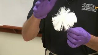How to Process Latent Fingerprints Using Non-Magnetic Powder