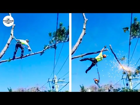 Idiots With Chainsaws: Tree Cutting Fails | Extreme Dangerous Logging Truck Fails #6