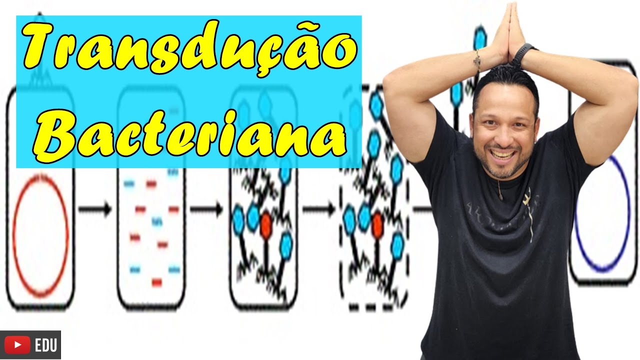 Transdução Bacteriana - Conceito e Processo - Reprodução Bacteriana - Microbiologia