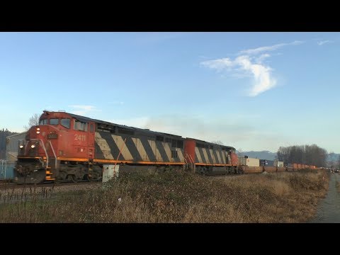 RailfanBC: A Pair of Zebras! CN 2411 at Glen Valley + More (2017-12-09)