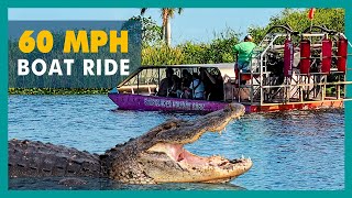 Everglades Holiday Park Air-boat Ride | Royal Caribbean Excursion