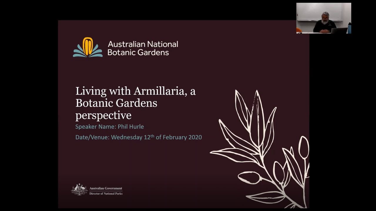 Botanic gardens biosecurity webinar 7 - Living with Armillaria: a botanic gardens perspective