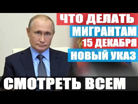 Что Делать Мигрантам После 15 Декабря. Новый Закон Для Мигрантов 2020