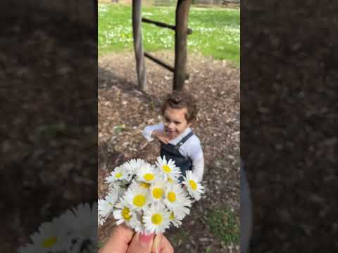 Eveline 🌼 #nature #spring #flowers