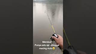 Download lagu story wa mancing 30 detik #hobimancing #mancing #setatuswa30detik #ll #shorts #shortvideo #trending mp3