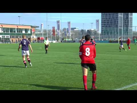 AFC.O17-1  -  HOLLANDIA.O17-1