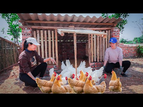 VIDEO FULL: 120 Days to build a house and garden - Start A New Life For Free  - Animal Farm Care