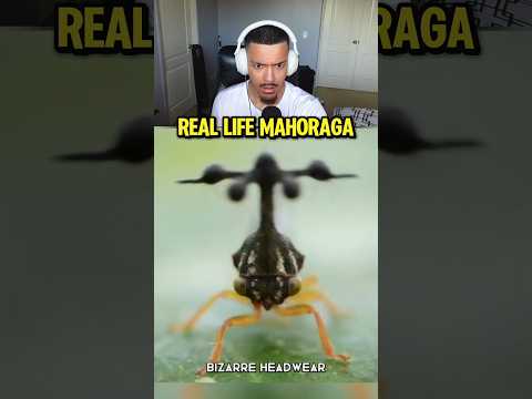 MAHORAGA IS REAL 💀 #shorts