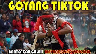 Download lagu GOYANG TIKTOK ! BANTENGAN SUROO Mayangkoro Original - LIVE TENGGER, PAGU, KAB KEDIRI mp3