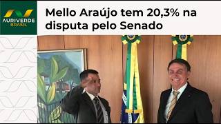 Mello Araújo atinge 20,3% em pesquisa para o Senado por São Paulo