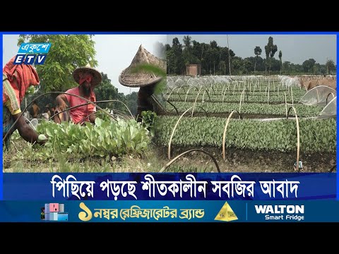 অতি বৃষ্টিতে নষ্ট হয়েছে শীতকালীন সবজির আগাম আবাদ