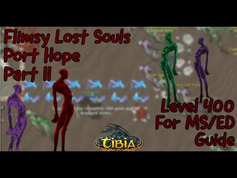 Tibia 2021 - Port Hope Flimsy For ED/MS | Part II,  400 DRUID Full Floor - EXP Spot.