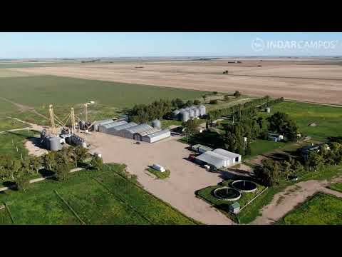 INDAR Campos | Coronel Dorrego | Buenos Aires | 80% Agrícola | 1.520 Has