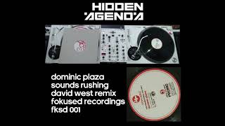 Dominic Plaza - Sounds Rushing (David West Remix)