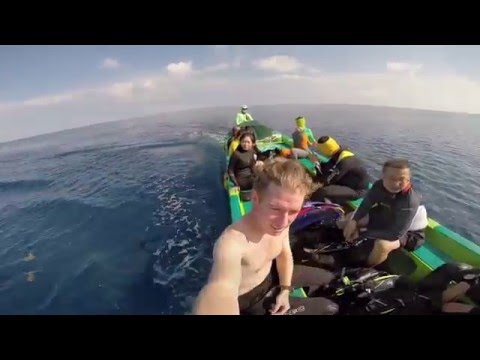 Diving Tubbataha Reef on Stella Maris - May 2016