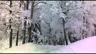 Electronic - Forbidden City (HQ Audio)