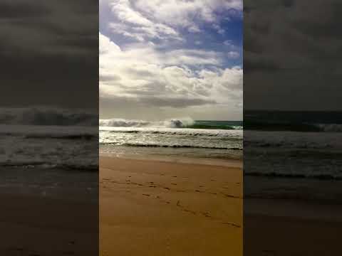 What!!? They dont call it #supertubos for nothing 🤯 #peniche #surf #wave #shorts