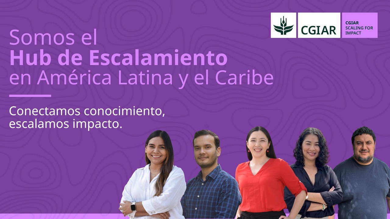 Somos el Hub de Escalamiento en América Latina y el Caribe I Alianza Bioversity y CIAT