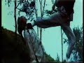 Incredible Shaolin Thunderkick Movie Trailer