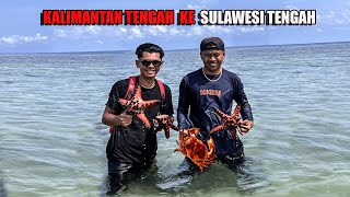 Download lagu 7 DAYS IN SULAWESI, HUNTING DAY & NIGHT IN THE SEA, RIVERS, SWAMPS, GARDENS & RICE FIELDS😅 #bocah... mp3 Download lagu 7 DAYS IN SULAWESI, HUNTING DAY & NIGHT IN THE SEA, RIVERS, SWAMPS, GARDENS & RICE FIELDS😅 #bocah... mp3