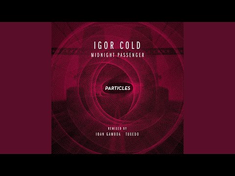 Midnight Passenger (Tuxedo Remix)