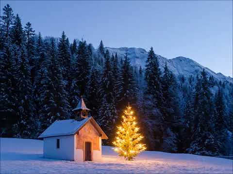 Wienerwald Terzett - Da Wintertag