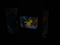 Sesame Street Episode 2590 Ending