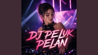 Download lagu DJ PELUK PELAN mp3