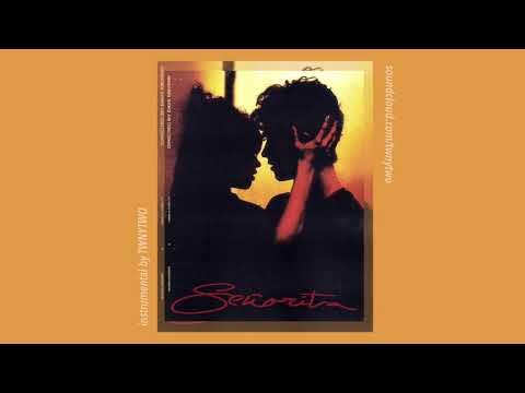 Camila Cabello, Shawn Mendes – Senorita (Instrumental)