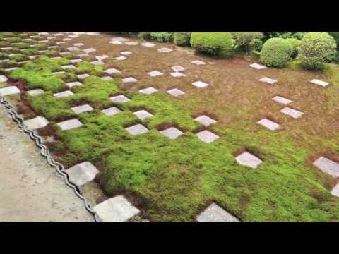 Tofuku-ji Temple The Garden of the Hojo 02 | Mirei Shigemori