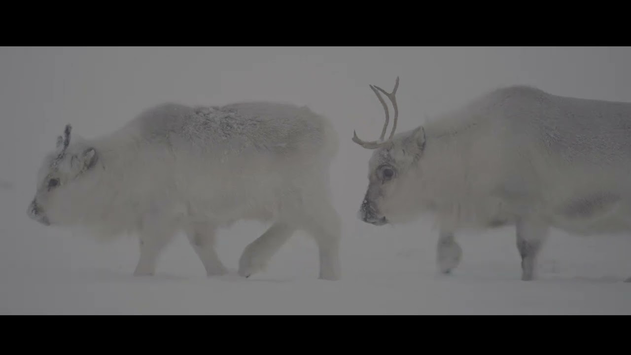 Wschodni Spitsbergen