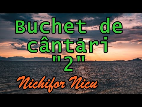 Nichifor Nicu - Buchet de cântări "2"
