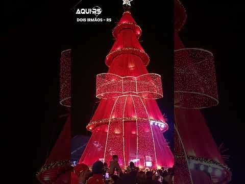 A Árvore de Natal do Natal dos Anjos Está Encantadora em Dois Irmãos!