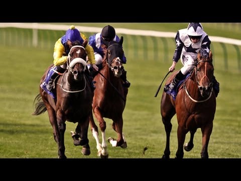 Shadwell International Stallions Rosemary Stakes (Listed) 2013