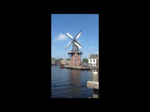 The Windmill Song - Primo Scala - 1949