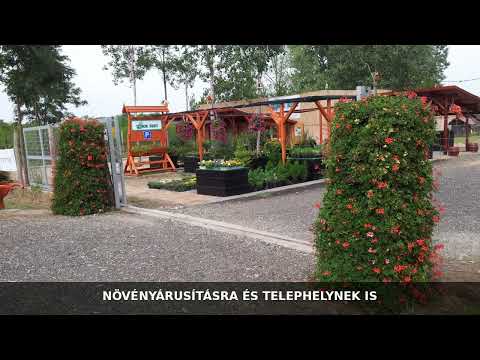 Eladó tanya, Táborfalva 60 m² 19.5 M Ft