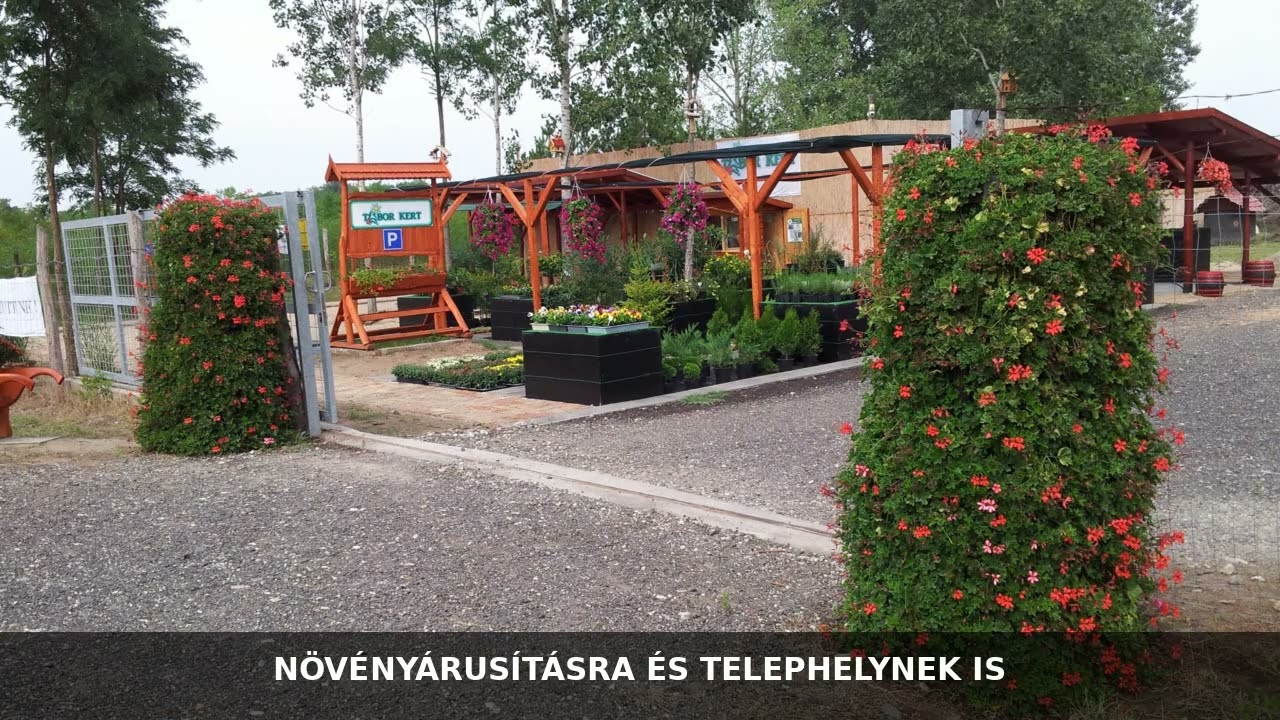 Eladó tanya, Táborfalva 60 m² 19.5 M Ft