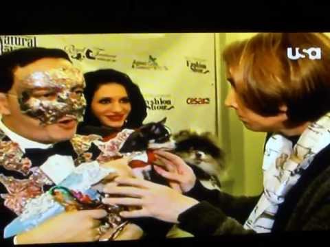 Pet Fashion Designer Anthony Rubio Interviewed for USA Network, Aired During Westminster 2012