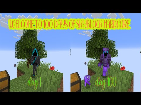 I Survived 100 Days of Skyblock in Hardcore Minecraft